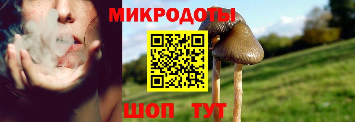 Псилоцибиновые грибы Psilocybine cubensis Щёлково